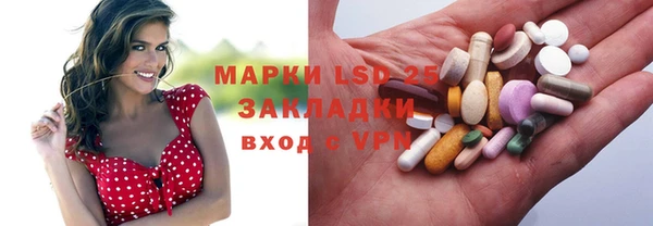 прущие грибы Балабаново