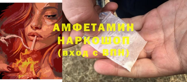 прущие грибы Балабаново