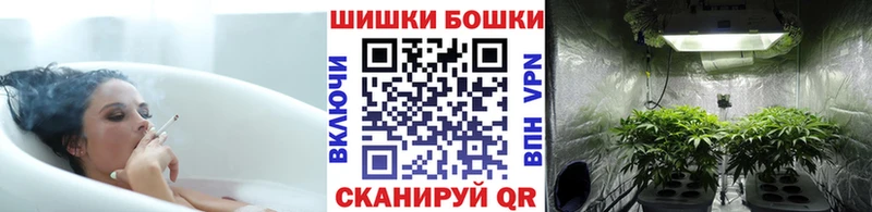 Бошки марихуана сатива Белозерск